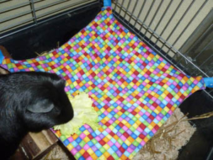 Meerle Hängematte für Meerschweinchen