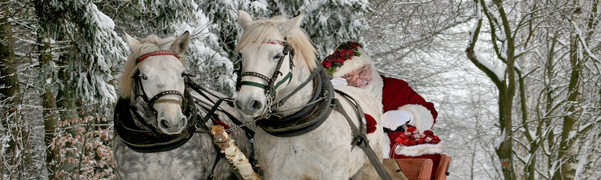 Willkommen im Nadelöhr